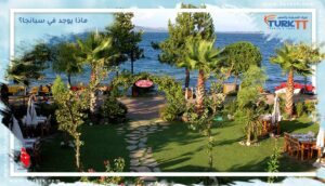 Read more about the article ماذا يوجد في سبانجا؟