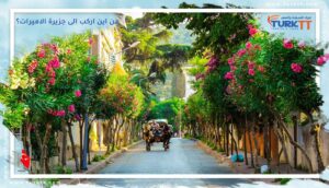 Read more about the article كيف ومن اين اركب الى جزيرة الاميرات؟