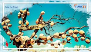 Read more about the article 14 فكرة للهدايا من تركيا  