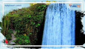 Read more about the article استمتع بجمال شلالات المعشوقية الساحرة