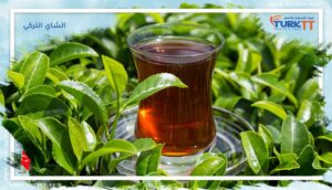 Read more about the article الشاي التركي رمز للحياة والثقافة المشتركة في الأناضول