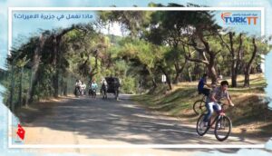 Read more about the article هل تتساءل، ماذا نفعل في جزيرة الاميرات؟