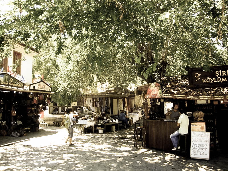 شواطئ وافرة