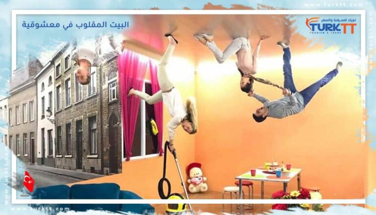 زيارة البيت المقلوب في معشوقية