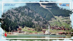 Read more about the article تعرف على أسواق أوزنجول