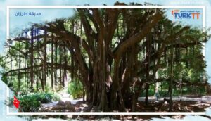 Read more about the article تعرّف على حديقة طرزان: مكان يضم أفضل العاب للصغار والكبار