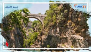 Read more about the article دليل شامل حول جسر كانيون