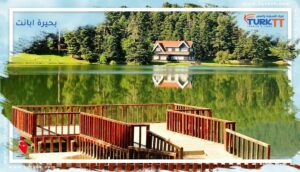 Read more about the article دليل شامل حول منتزه وبحيرة ابانت