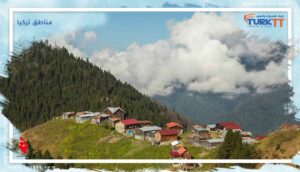 Read more about the article إعادة اكتشاف مناطق تركيا: 7 مناطق و3 مناخات متنوعة