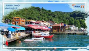 Read more about the article قرية Anadolu Kavağı في إسطنبول
