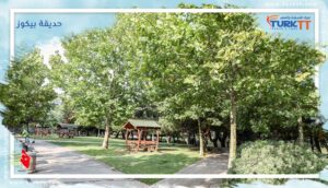 Read more about the article حديقة بيكوز غروف، من أجمل حدائق المدينة