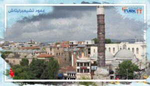 Read more about the article دليلك حول عمود تشيمبرليتاش