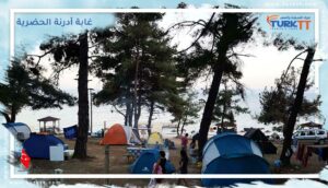 Read more about the article دليلك حول غابة أدرنة الحضرية