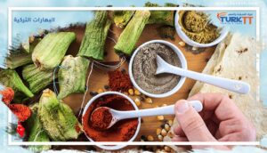 Read more about the article 10 من البهارات التركية المستخدمة في المطبخ التركي