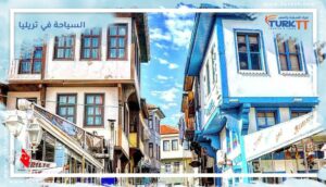 Read more about the article دليل السفر والسياحة في تريليا