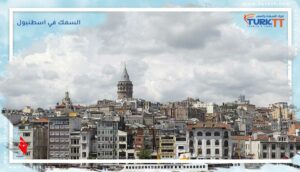 Read more about the article أين تأكل السمك في اسطنبول؟