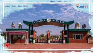 Read more about the article حديقة حيوان أسكي شهير: أكثر من 240 نوعا من الحيوانات