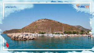 Read more about the article دليل السفر إلى بالاموتبوكو