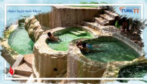 Read more about the article حديقة شبه جزيرة ديليك الوطنية (بويوك مندريس دلتا)