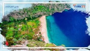 Read more about the article وادي الفراشات