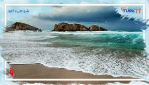 Read more about the article شواطىء أغوا